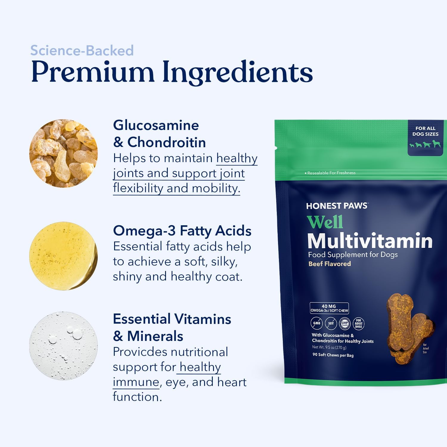 Honest Paws (90 Count) Dog Multivitamin Soft Chews with 10 Essential Vitamins - Joint, Coat, Immune, Eye & Heart Support - with Glucosamine, Chondroitin & Omega-3 - Beef Flavor (Pack of 2)