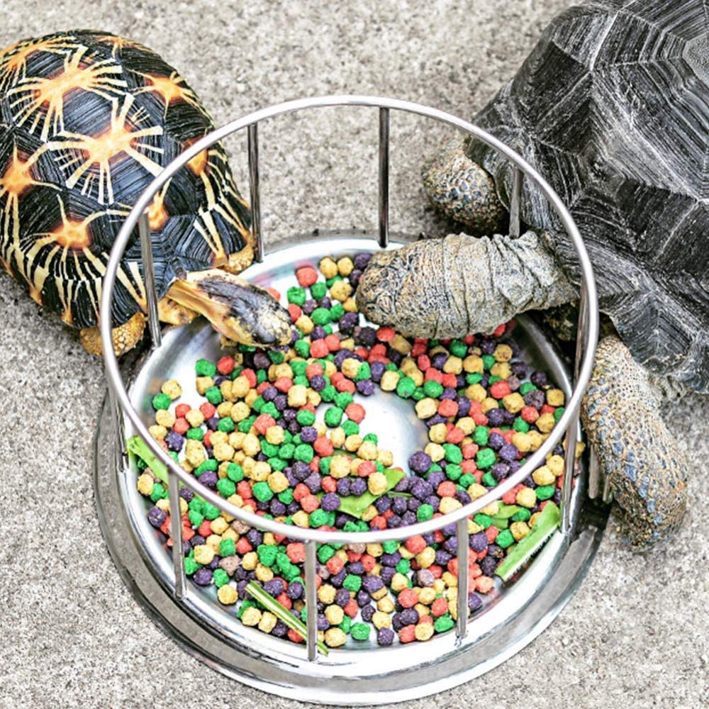 Alimentador De Tortuga De Acero Inoxidable Cuenco De Comida Para Tortuga Cuenco De Comida Para Tortuga Plato De Comida Para Tortuga De Medio Agua Dispositivo De Alimentación Para Tortuga Lavabo Para r