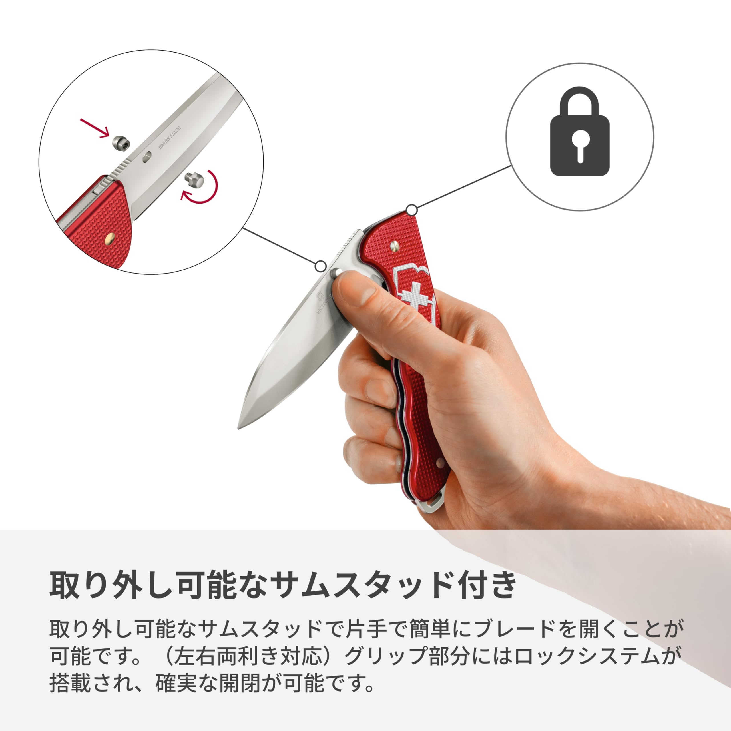 Amazon | VICTORINOX(ビクトリノックス) エボーク ALOX レッド