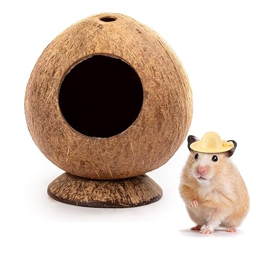 Hamster Hideout Wooden House Coconut Hut Hamster House Bed for