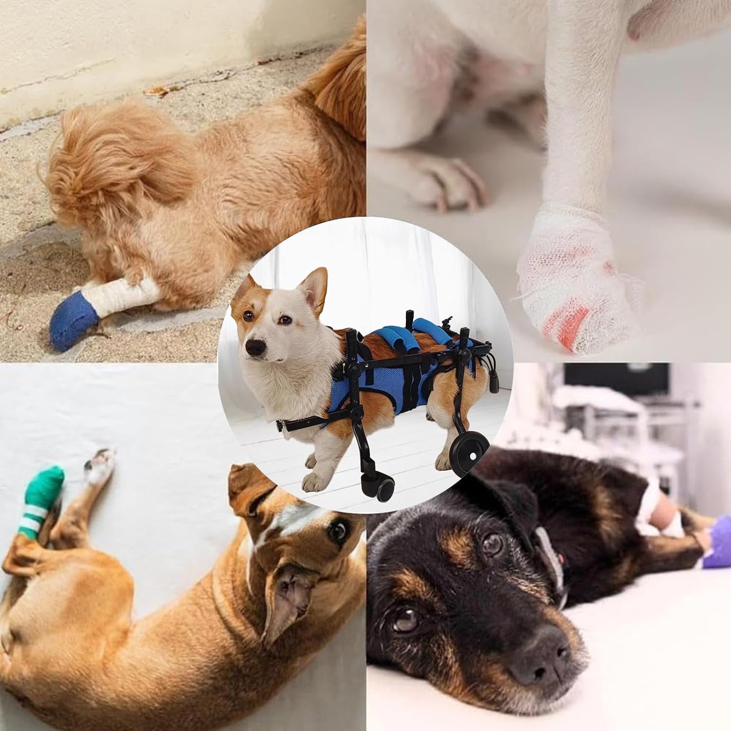 犬用車椅子 歩行器 4輪 軽量 ペット用 リハビリ 介護 小型 中型 室内