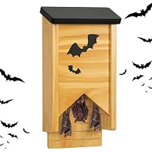 Bat House, Small Weatherproof Bat Houses for Outdoors Single Chamber Durable Pre-Finished Easy to Install Bat Box for Trees Designed to Attract Bats Shelter for Yard Garden Patio