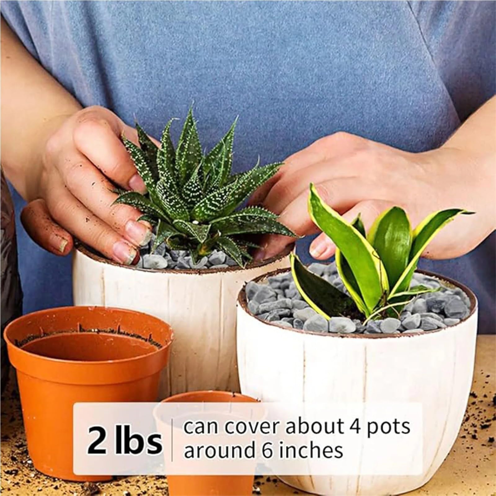 Deko Steine Steine Garten Sukkulenten- und Kaktuskies, Kieselsteine, 1/5 Zoll, dekorative polierte Steine, Vasen, Aquarien, Gartenarbeit im Freien, Grau(Black 300g)