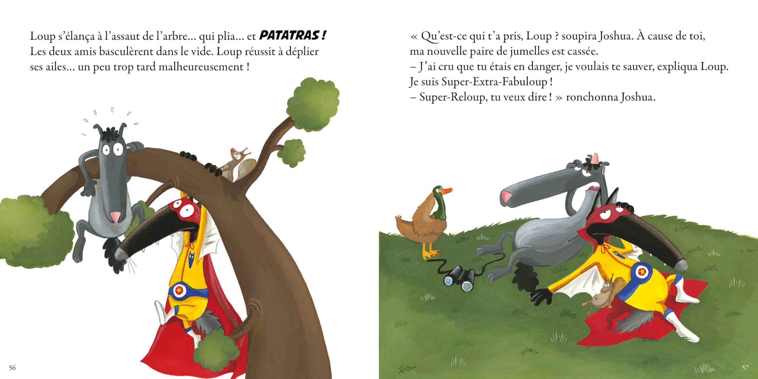 Coffret peluche - mes étonnantes histoires loup: Coffret avec 1 peluche et 1 poster