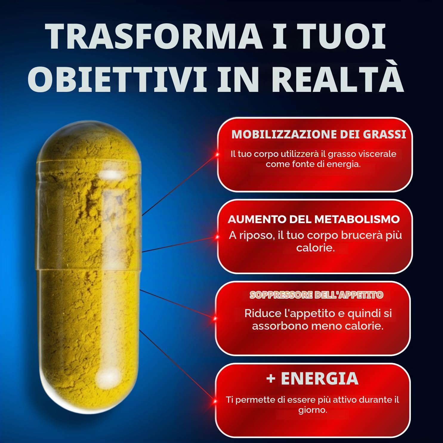 Bruciagrassi Potente ✗ Basato su 43 Studi Scientifici ✗ Altamente Dosato ✗ Aumento del Metabolismo ✗ Eliminazione dei Grassi ✗ Soppressore dell'Appetito ✗ Perdita di Peso ✗