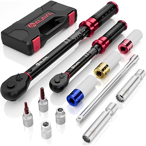 Torque Wrench 1/2 Drive & 3/8 Drive, 12Pcs Torque Wrench Set 10-170 ft.lb, 5-45 ft.lb with 8/10/17/19/21mm Sockets, 14/16mm Spark Plug Socket, 3/8 Extension Bar 250mm, T25/T40 Torx