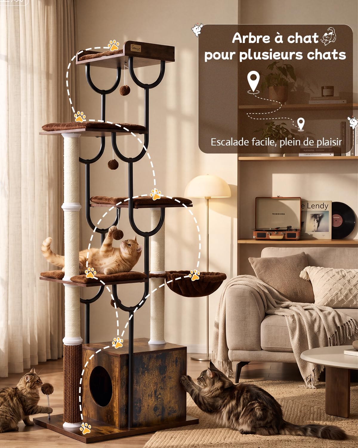 FourFurPets Arbre à Chat Bois 188 cm, Arbre à Chat avec Griffoir et 5 Poteaux Griffoir Chat, Tour Moderne avec Condo, Panier et Peigne de Massage pour Grands Chats, Stable et Design (Marron Rustique)