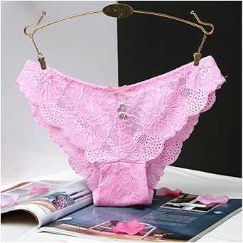 Knickers for Women Sexy Lace Briefs Low Waisted Cut Ladies Knickers with Cute Bowknot Design Womens Low Rise See-Through Briefs Breathable Panties