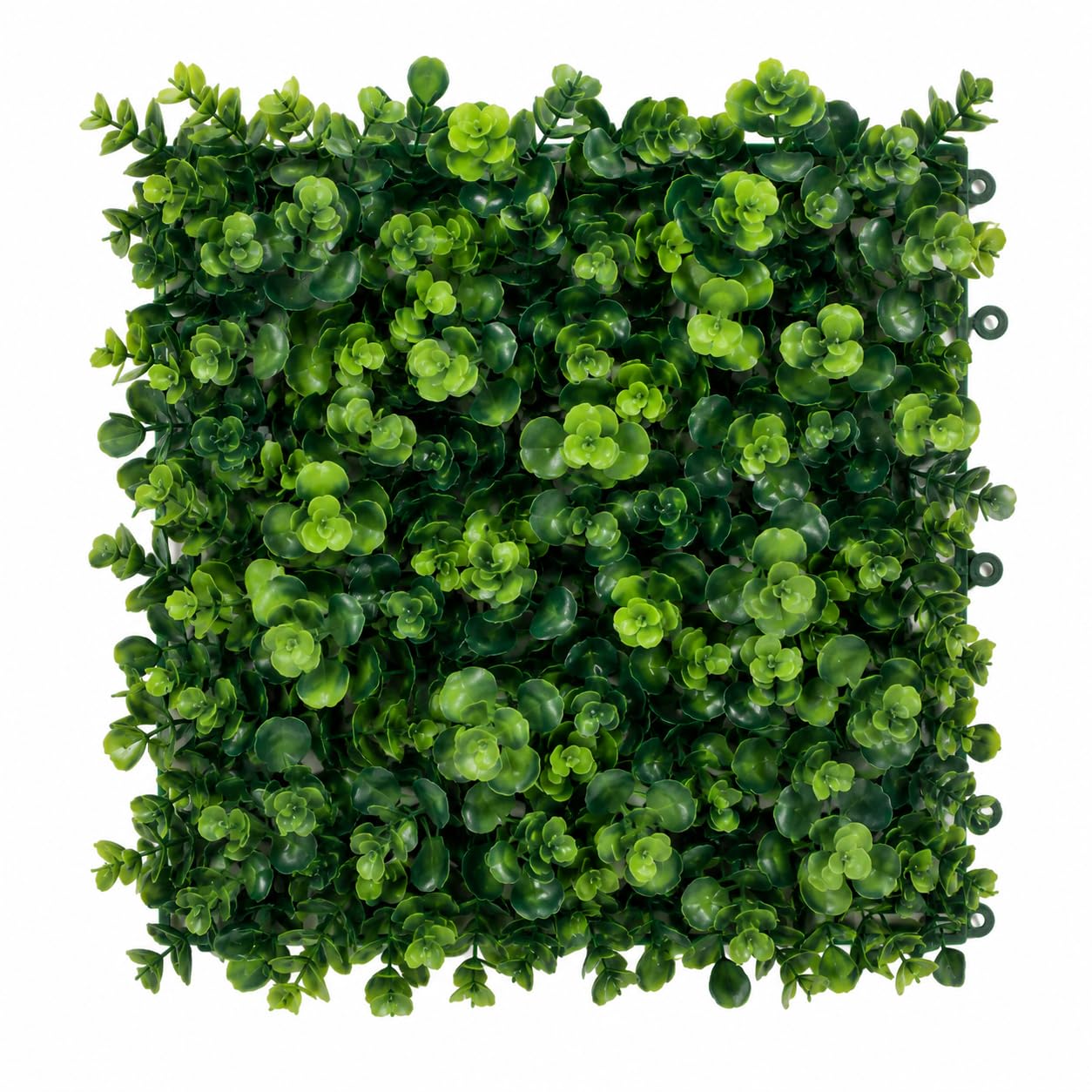 Floralcraft® Artificial Eucalyptus Green Wall Panels (Pack of 3, 25 × 25cm) – Fake Hedge Panels for Privacy Screen, Garden Fencing, Balcony & Indoor Outdoor Use