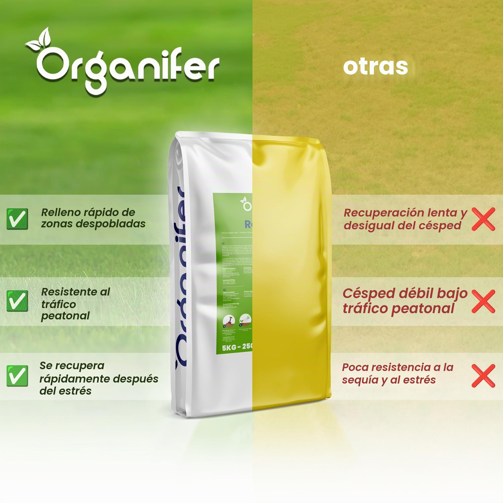Semillas Para La Reparación Del Césped | Raygrass - Alta Resiliencia - Restauración - Recuperación - 5kg - Organifer