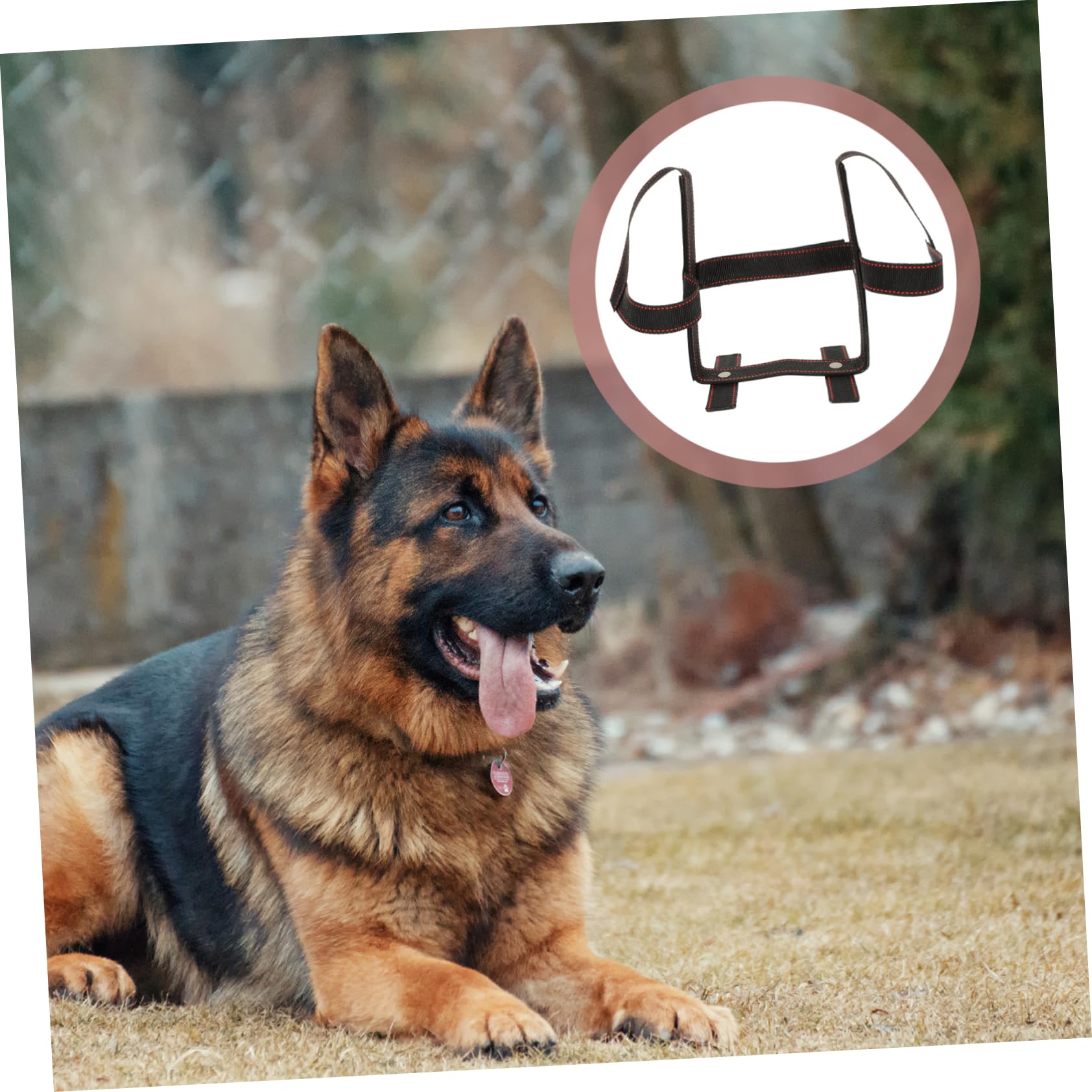 BESPORTBLE 2sätze Hundewelpen Ohrstütze Elastischem Material Für Hunde Installieren Langlebig Und Unterstützt Stehen Ohren Bei Dobermann Schäferhund Und Corgi