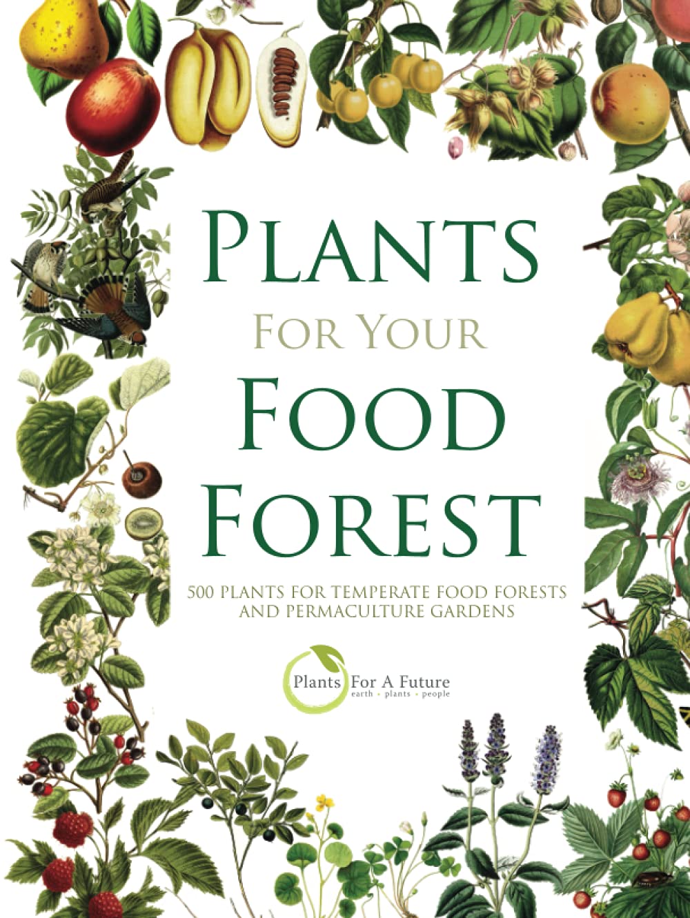 PLANTS FOR YOUR FOOD FOREST: 500 PLANTS FOR TEMPERATE FOOD FORESTS AND PERMACULTURE GARDENS      Hardcover – July 15, 2021