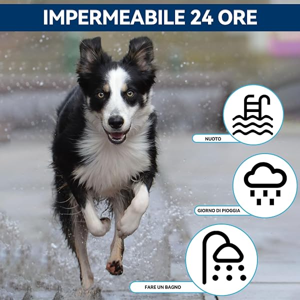 Collare Antiparassitario Regolabile Per Cani, Impermeabile, Con Oli Essenziali Naturali. Aiuta Contro Pulci E Zecche, Adatto A Cani Di Tutte Le Taglie, Protezione Fino A 12 Mesi - 5