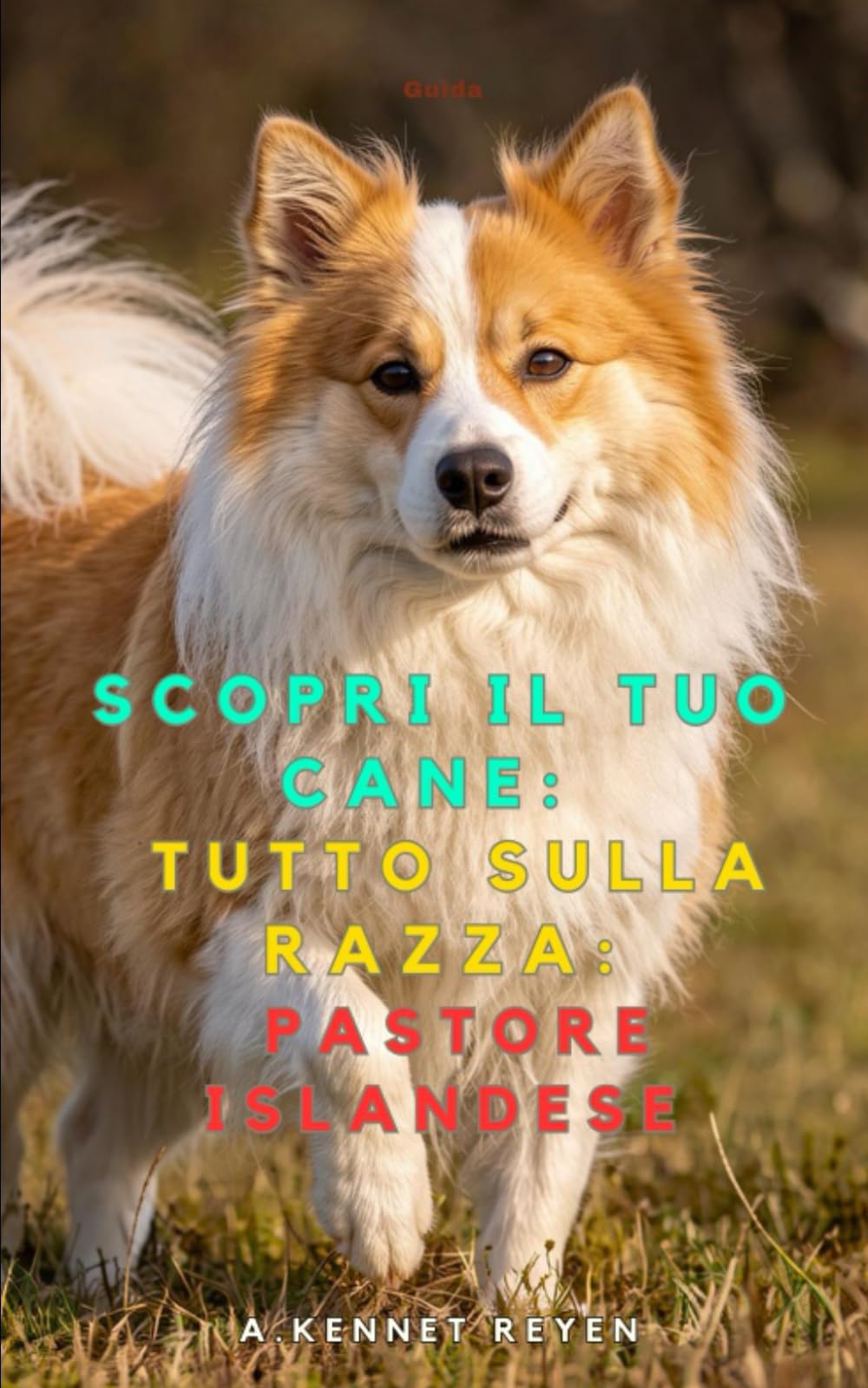 Scopri il tuo Cane:Tutto sulla razza: Pastore Islandese