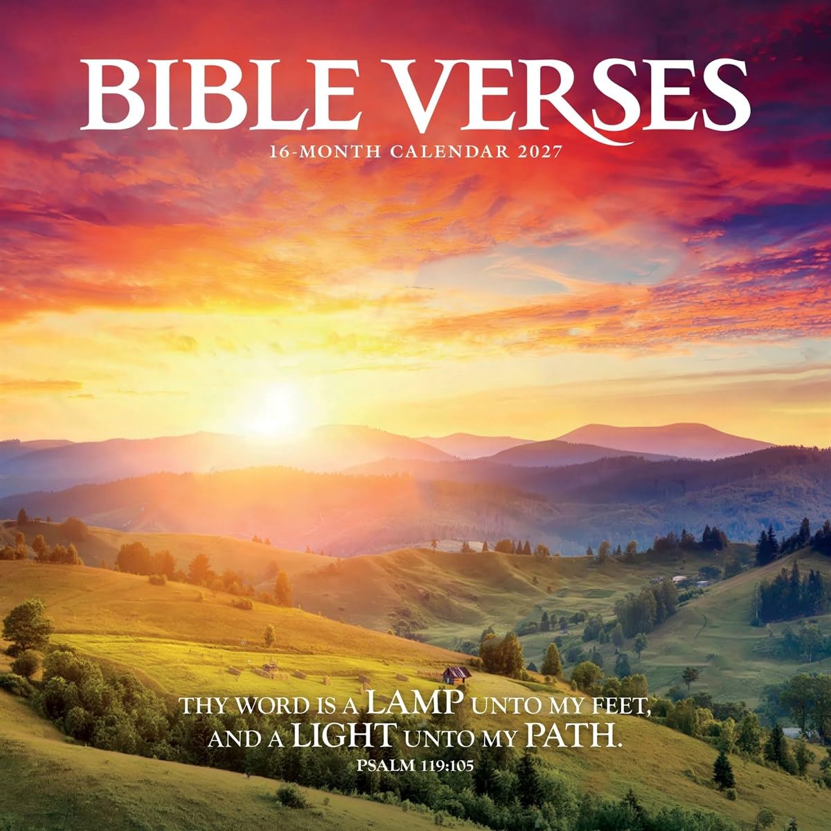 Carousel Worldwide Bible Verses 2027 Square Wall Calendar, 12-Month Calendar, Inspirational Scripture & Design