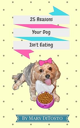 25 Reasons Your Dog Isn't Eating 