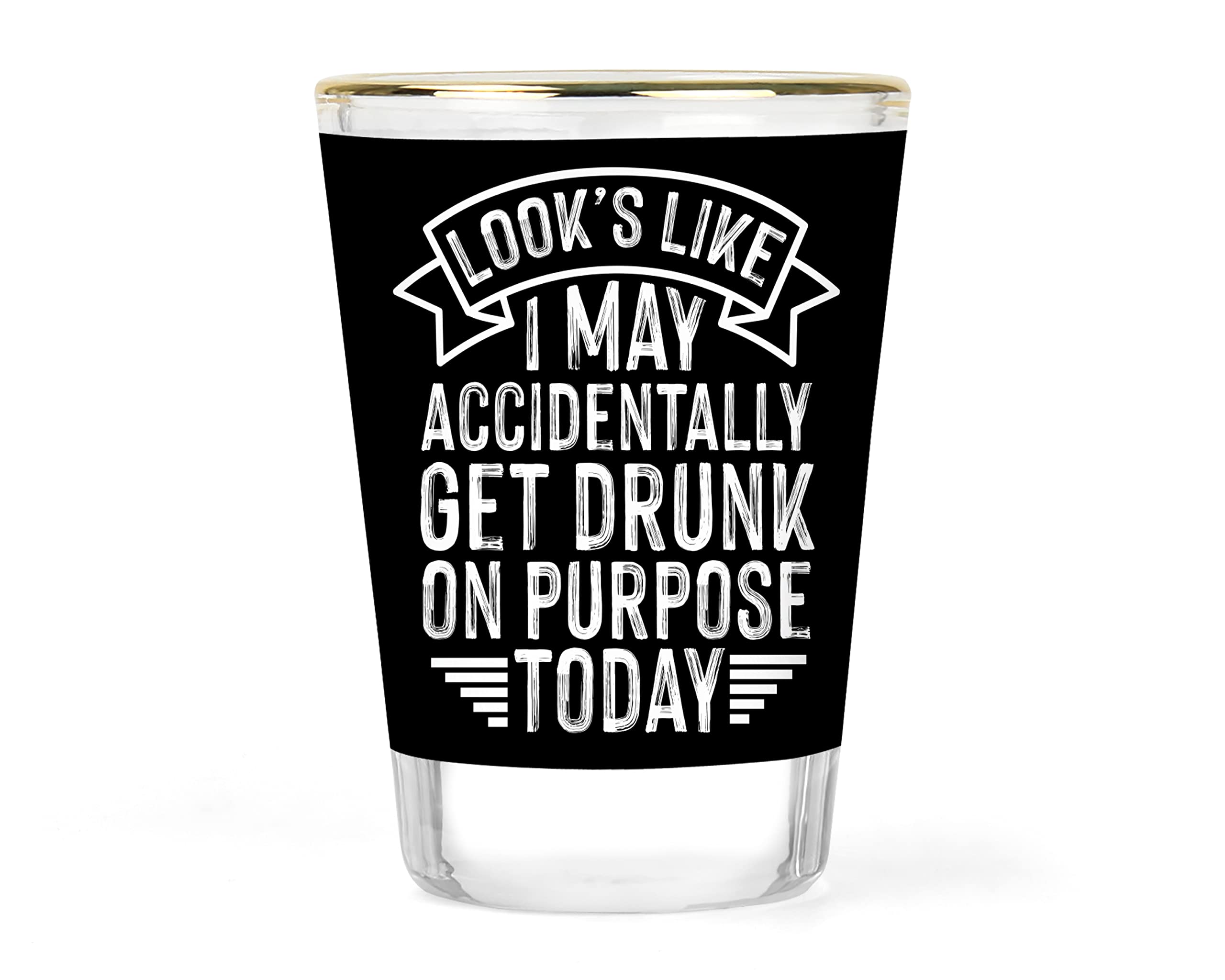 Accidently Partying Shot Glass | Fun Novelty Party Night Gift | Unique Funny Barware | Gag Gift Idea | Fun Gifts under 10 | Quote Shot Glasses