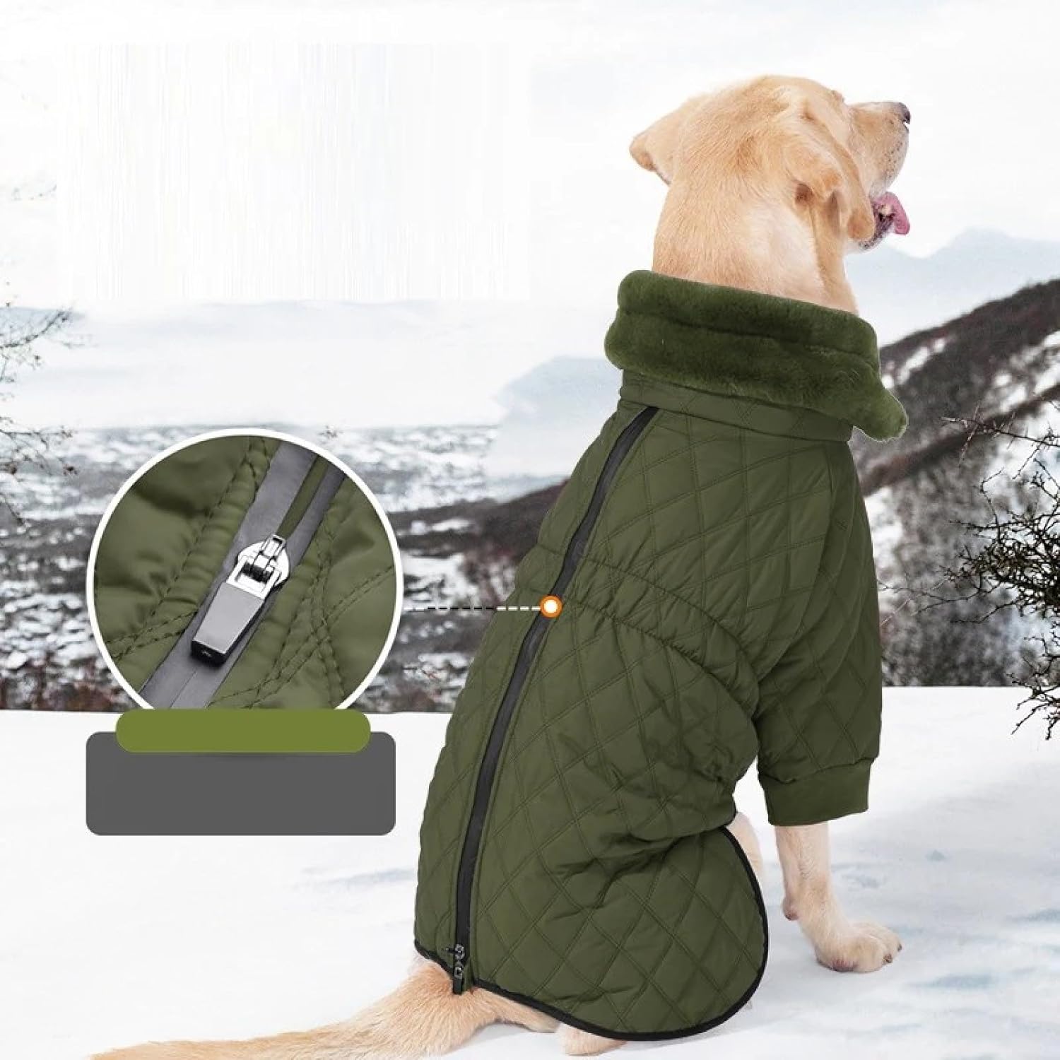 冬のフリースウォームペットハイカラージャケット,緑,2xl