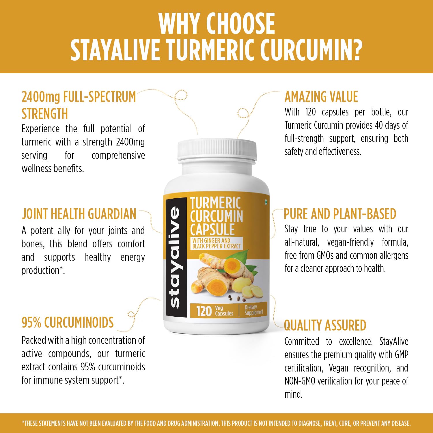 STAY ALIVE Turmeric Curcumin Capsules | 95% Curcuminoids with Black Pepper & Ginger Root Extract | Supports Joint Health, Immune Health & Antioxidant Support | Non-GMO & Gluten-Free | 120 Capsules 2