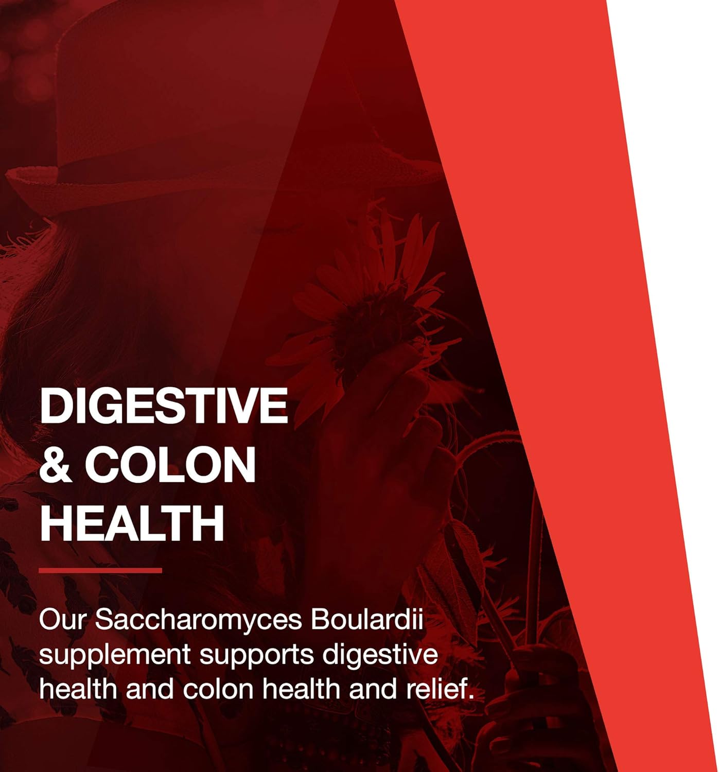 PROTOCOL FOR LIFE BALANCE Saccharomyces Boulardii - 10 Billion CFU - Probiotic Supplement - Support Gut Health & Digestive Health - Relieves Occasional Diarrhea - Halal & Kosher - 60 Veg Caps