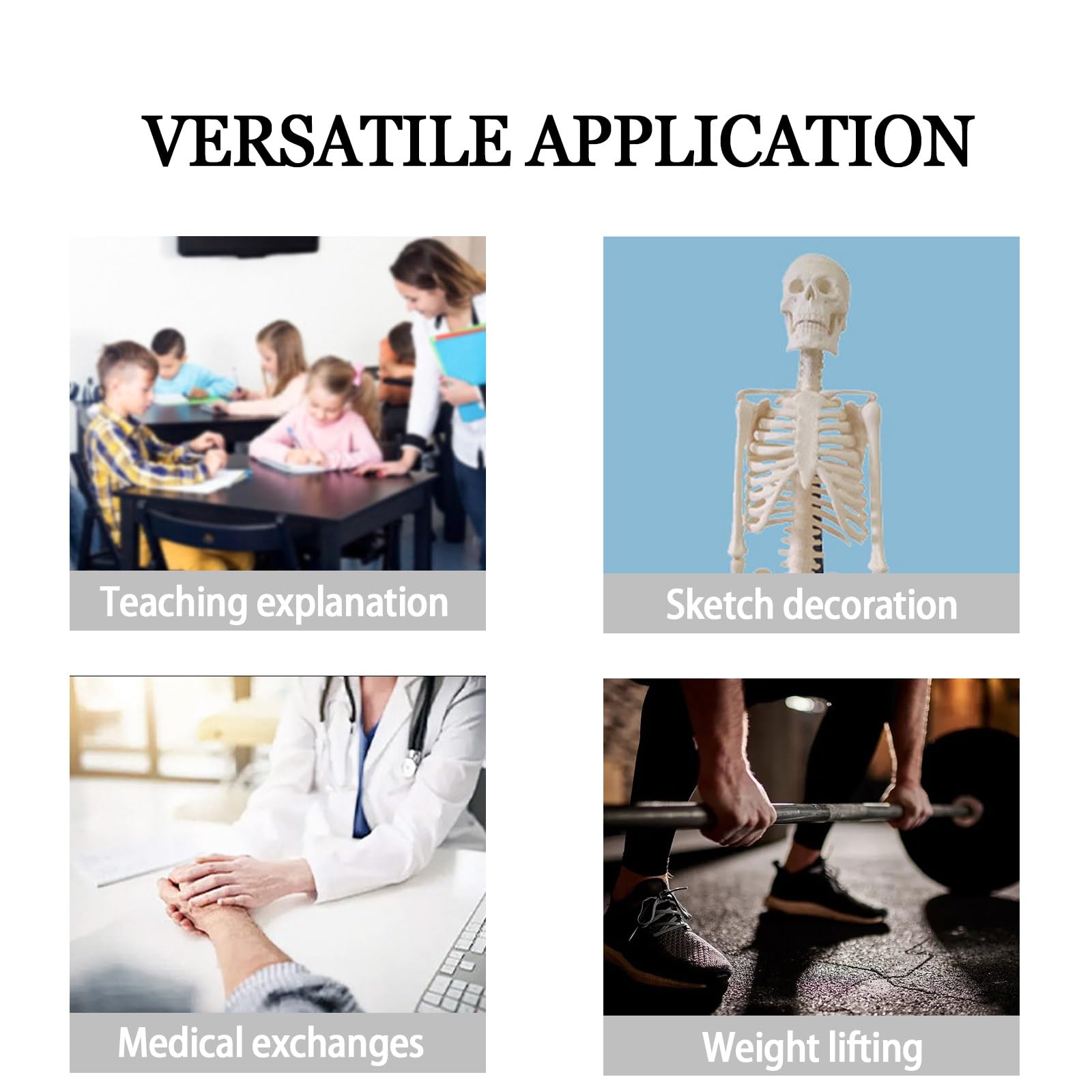Correttore posturale per sollevamento pesi, modello interattivo della colonna vertebrale per palestra, attrezzatura di protezione della colonna lombare, ideale per uso domestico e scolastico