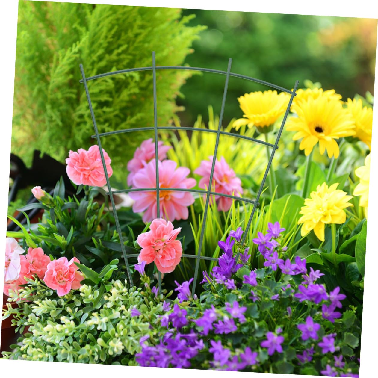 Set di tralicci da giardino per piante rampicanti, 4 pezzi, pergola in metallo, gabbia per pomodori, cetrioli, traliccio da parete, supporto per piante da esterno per aiuole rialzate e piante di vite