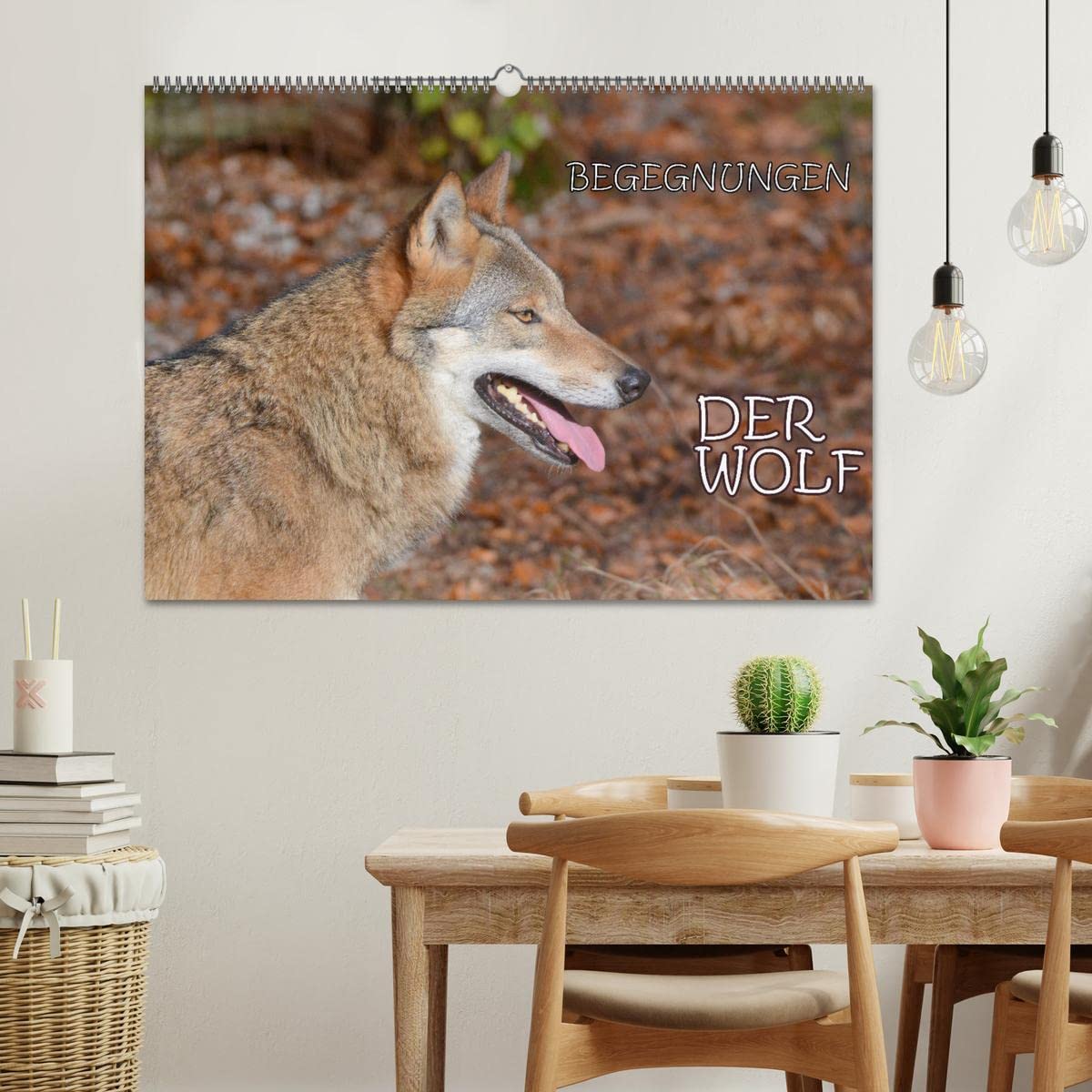 Begegnungen DER WOLF (Wandkalender 2026 DIN A2 quer), CALVENDO Monatskalender: Der Wolf - fantastische Bilder vom Isegrim. (CALVENDO Tiere)