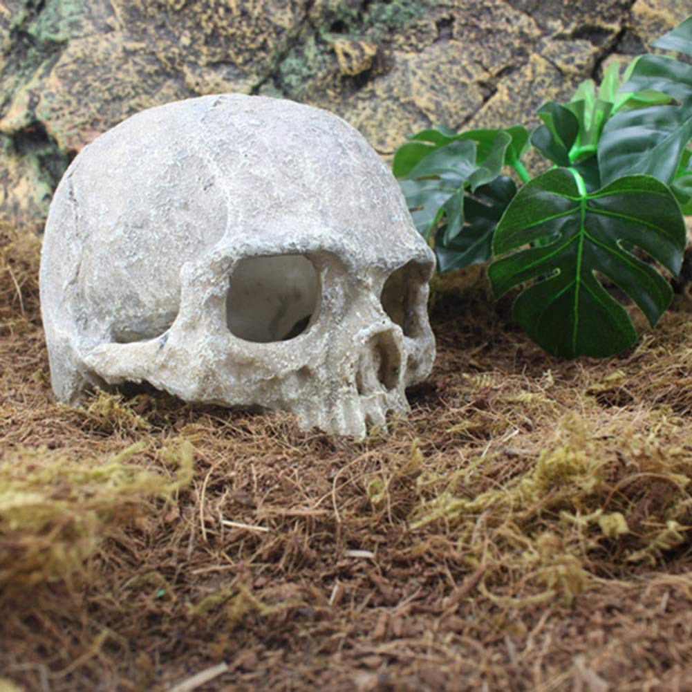 SnamicE Aquarium Decoration Resin Head Bone Skull Statue, Hiding Landscape Decoration Ornament for Lizard Snake Spider Scorpion Cave, Aquarium Fish Tank Landscape Decoration,