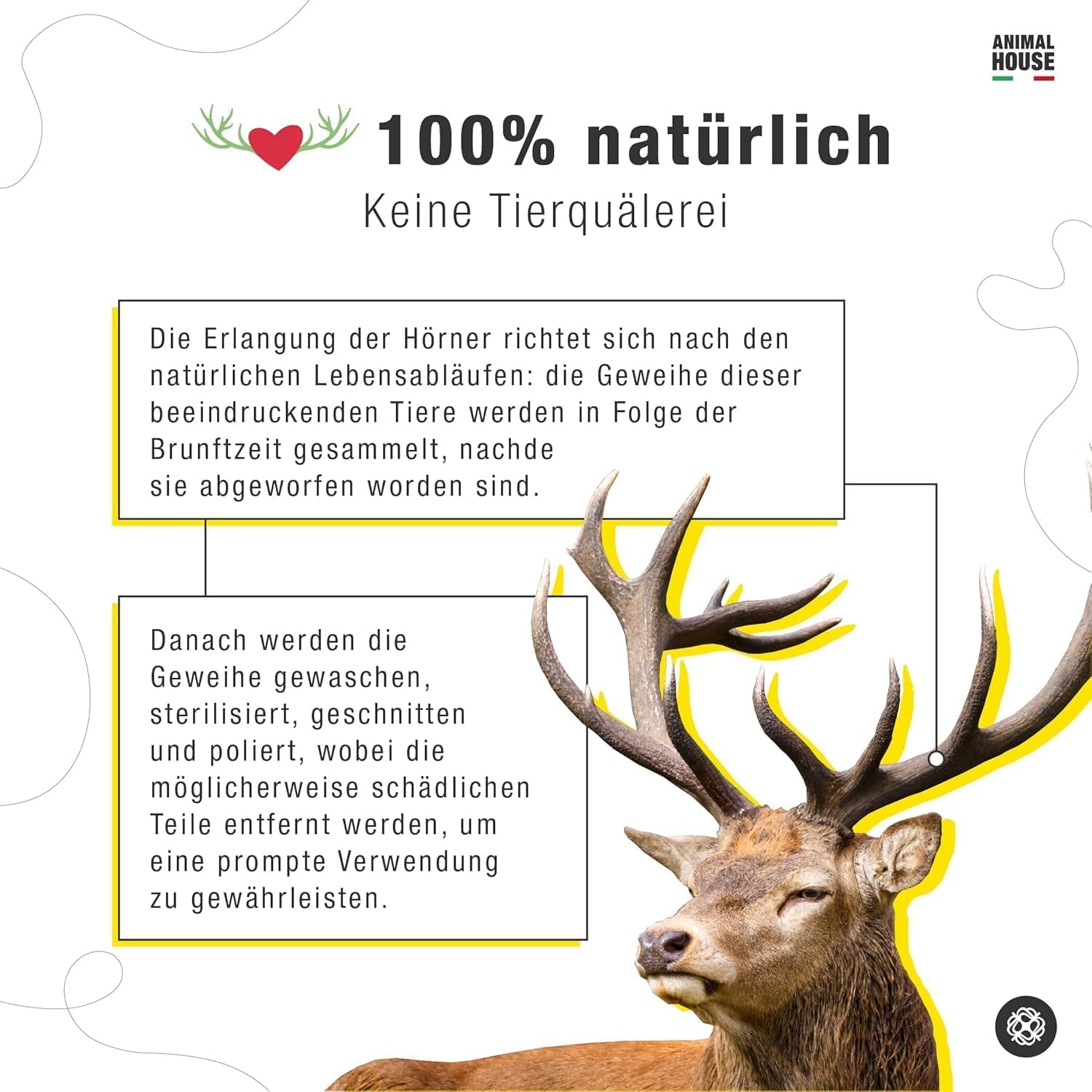 Animal House 3 Stück ganze Hirschgeweihe für Hunde, 100% natürliches Kauspielzeug, stärkt die Mundhygiene, widerstandsfähig und langlebig, in Allen Größen erhältlich (3, L)