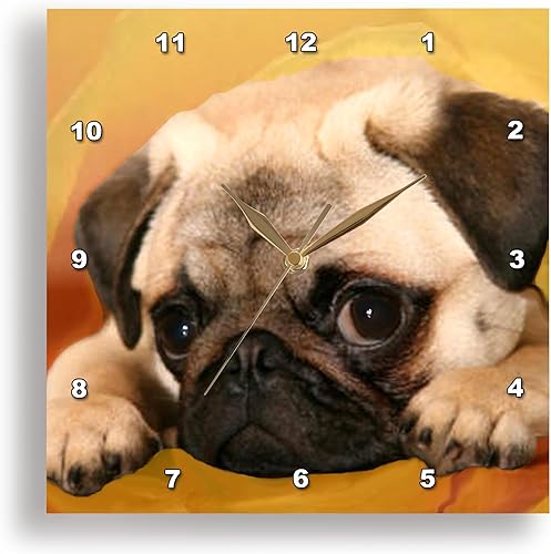 3drose Reloj de pared Pug, 10 x 10 pulgadas