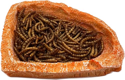 Miniatura 10 de Plato pequeño de comida para reptiles, paquete de 2 cuencos de comida para reptiles para dragón barbudo, gecko, lagarto, rana, cangrejo ermitaño,