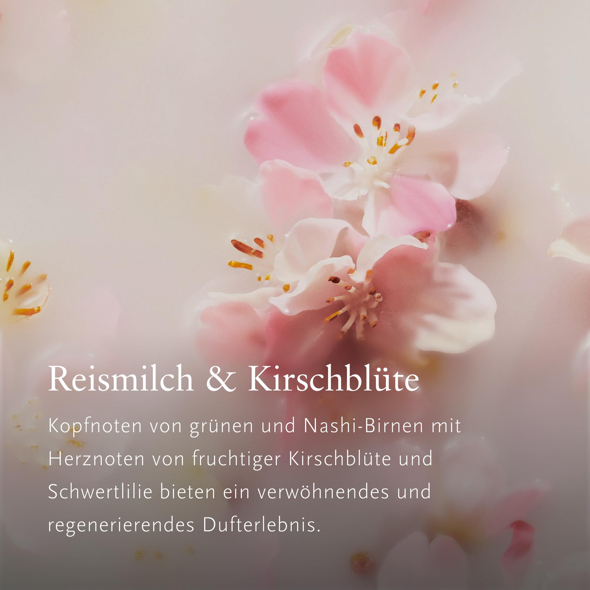 RITUALS Geschenkset Das Ritual von Sakura | Duftkerze und Duftstäbchen mit Reismilch und Kirschblüten | Geschenkidee mit zartem, langanhaltendem Duft