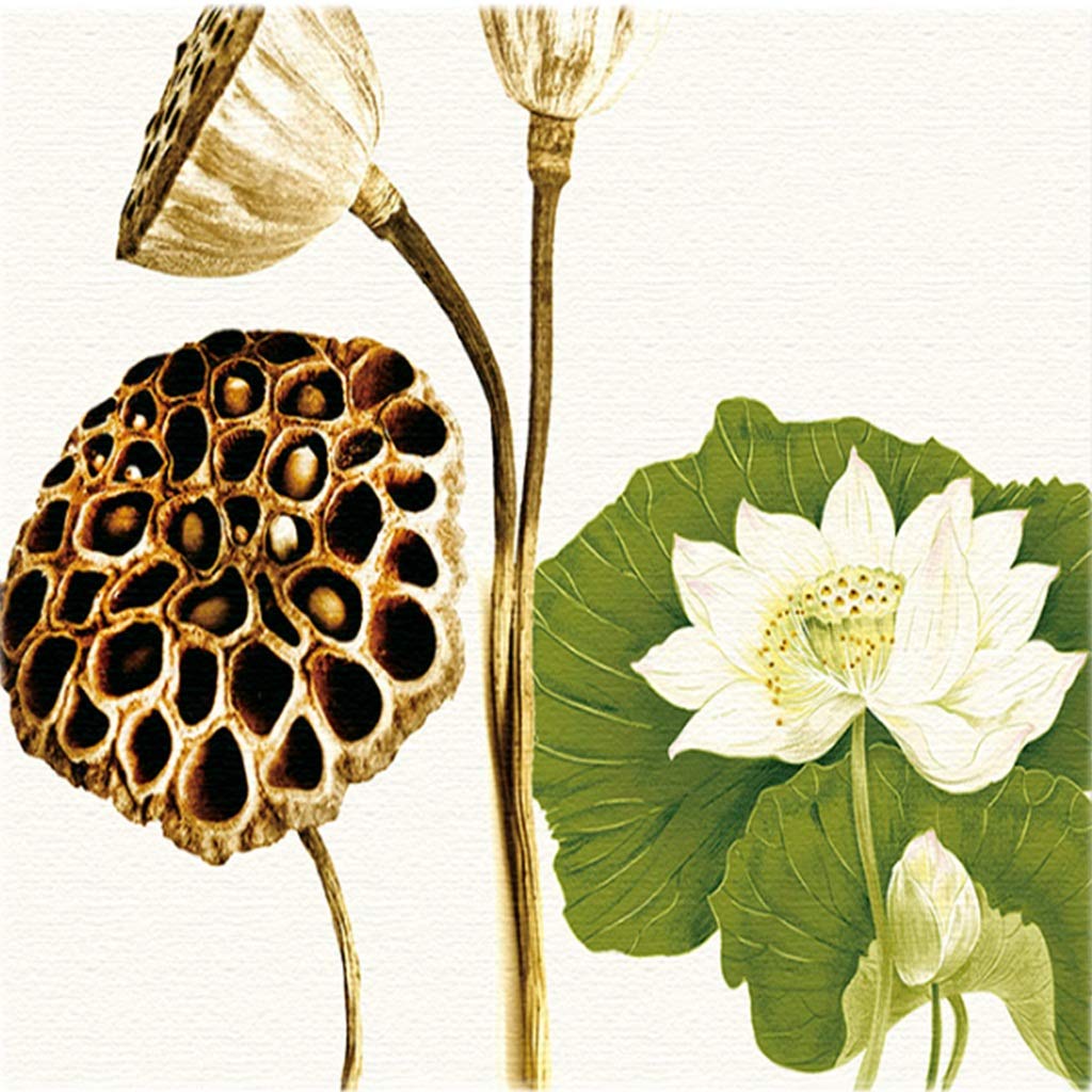 Amazon｜YNFNGXU 3画像をぶら下げキャンバス植物画壁画緑の花の装飾