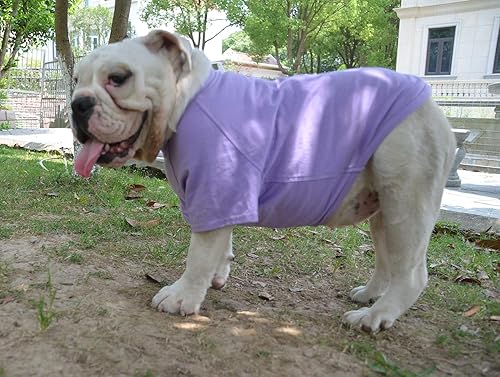 Miniatura 9 de Lovelonglong Ropa de bulldog para perro, camiseta en blanco para Bulldog francés, Bulldog inglés, American Pit Bull Pugs, 100% algodón, cuidado de