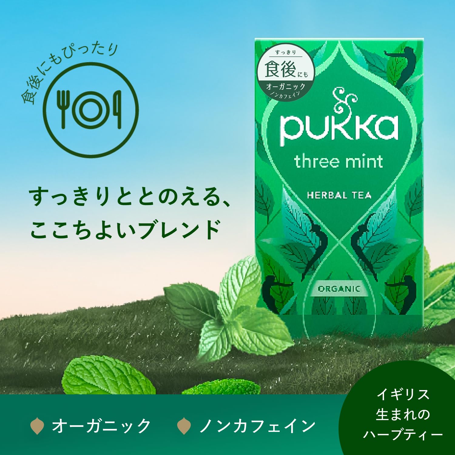 mint-tea ☆プロフご覧下さい Amazon.com: Three Mint Tea 20 Bags : Grocery & Gourmet Food