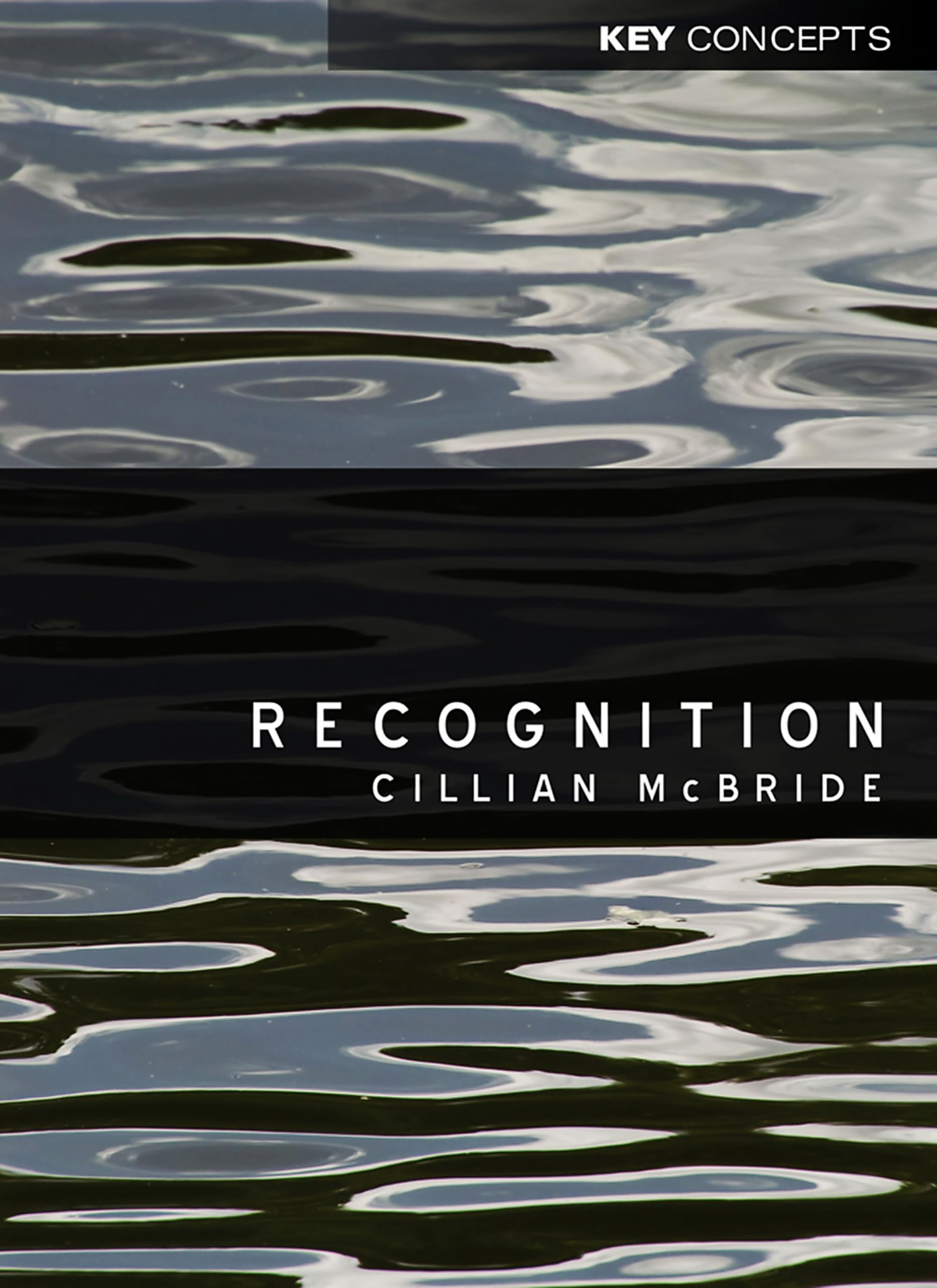 Recognition by Cillian McBride PAPERBACK 9780745648484