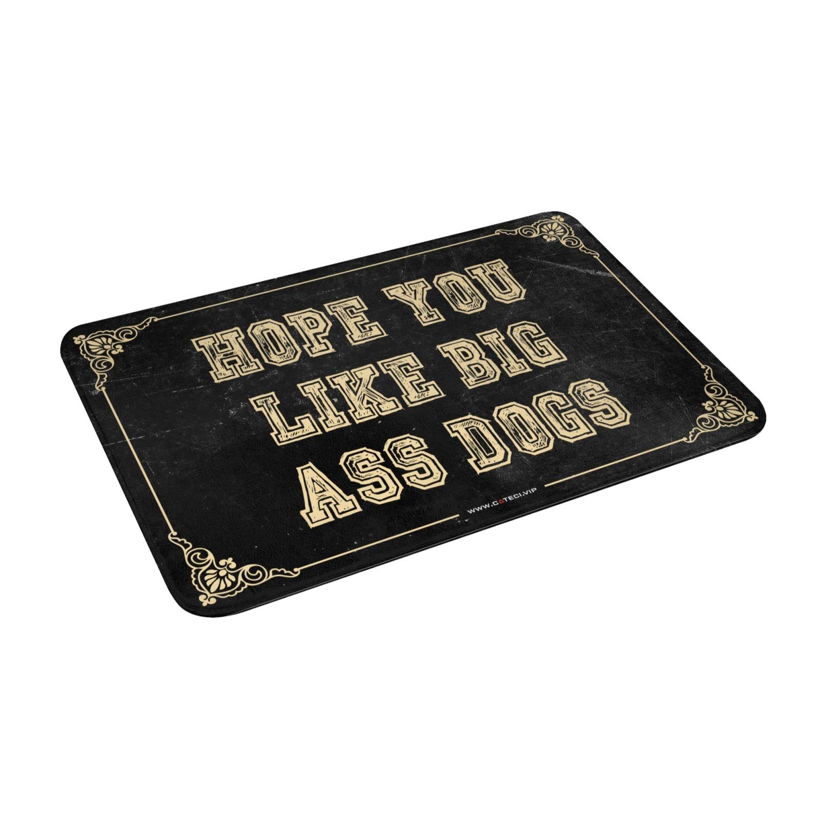 Tapis d'automne pour porte d'entrée accueillant les grands chiens