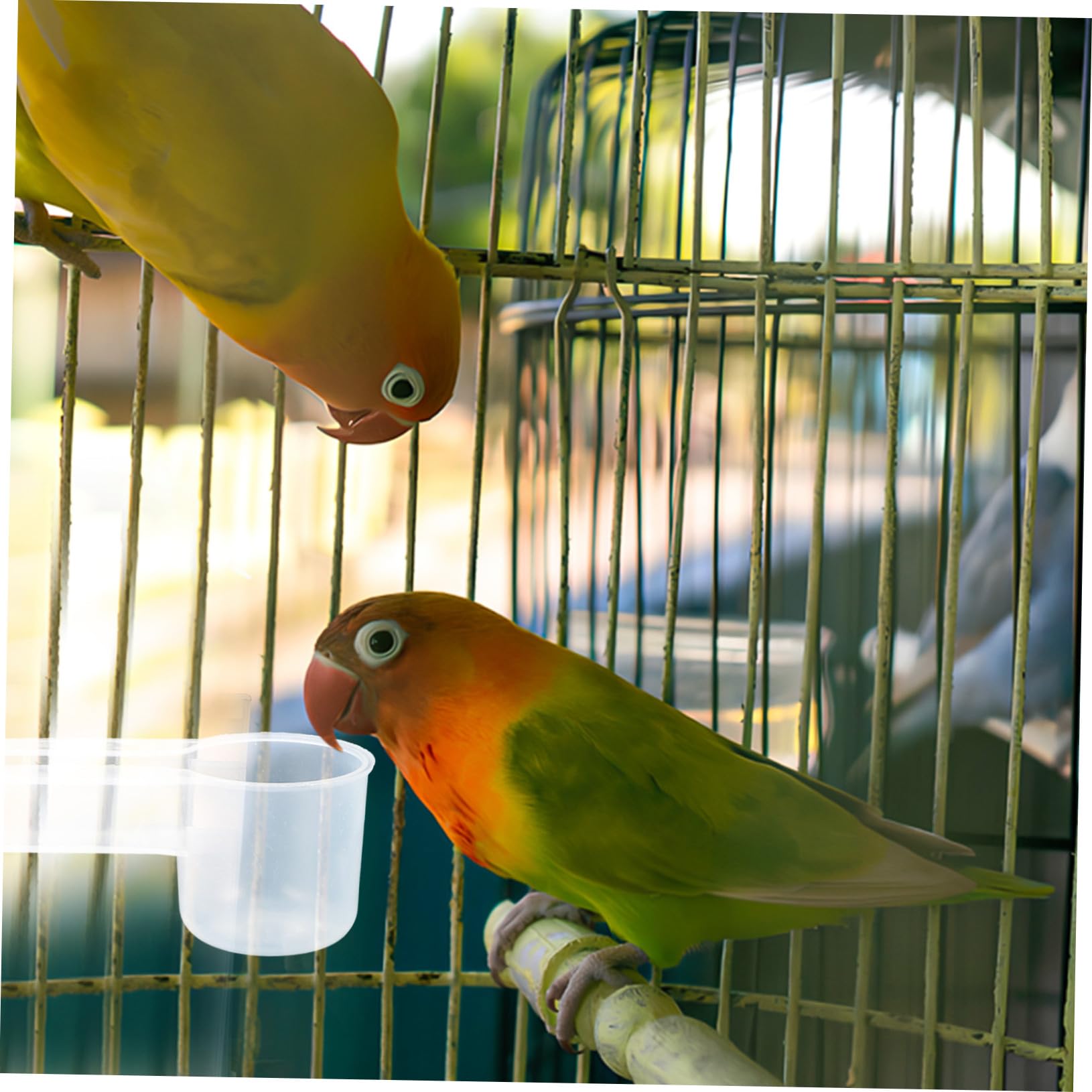 Didiseaon Distributore d Acqua per Uccelli Doppia Uscita 10 Pezzi, Bevitore Automatico per Piccioni e Pappagalli in Plastica, Facile da Pulire, per Casa e Negozio di Animali