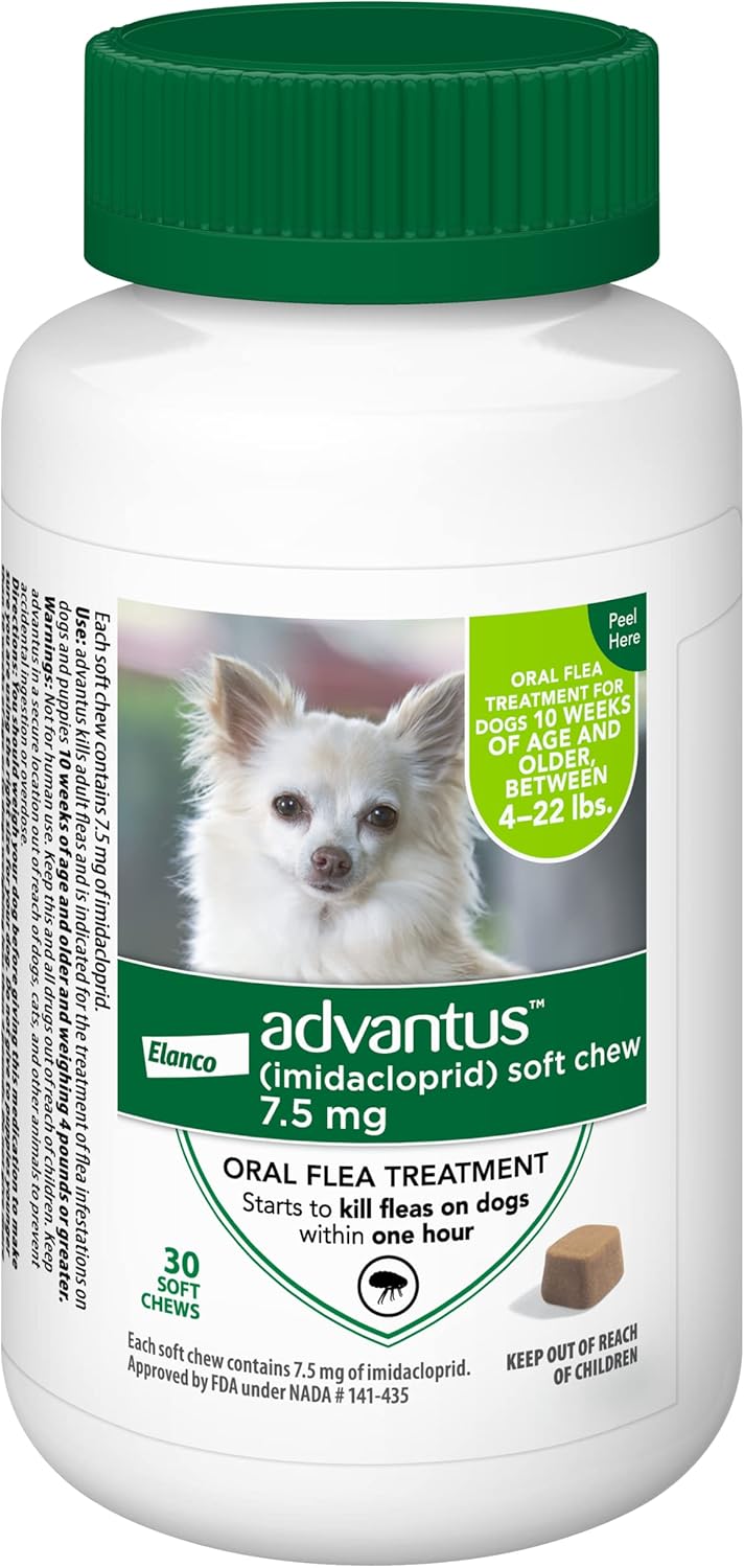 Does Garlic Help Kill Fleas On Dogs