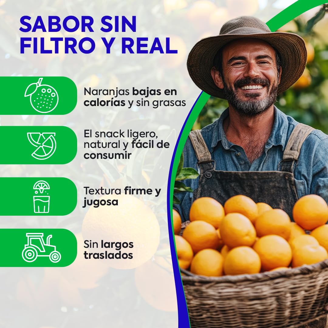 Naranjas de Valéncia directas del árbol recién recolectadas - del árbol a tu mesa sin tratamientos post cosecha - cajas de 5, 9, 15 y 19kg - fruta natural valenciana - naranja de mesa (9KG)