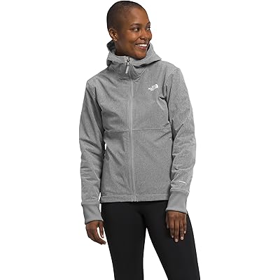 The North Face Shelbe Raschel Hoodie
