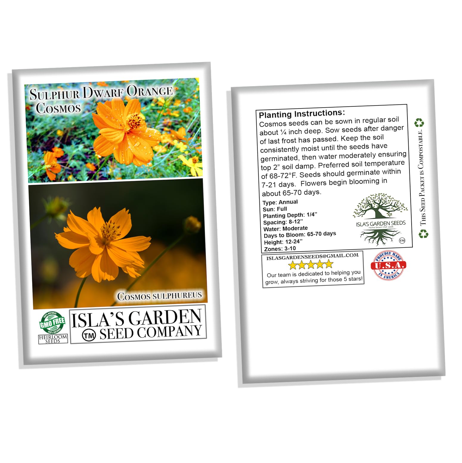 Amazon.com : Sulphur Dwarf Orange Cosmos Flower Seeds - 100+ Seeds