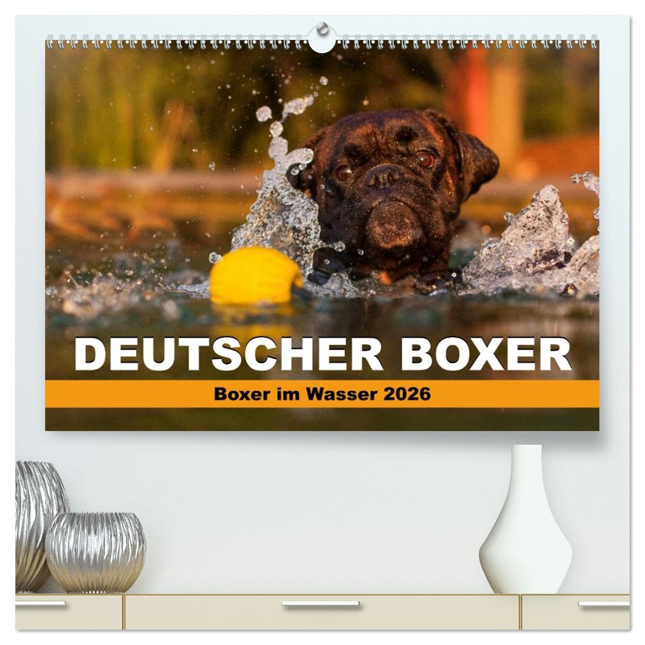 Deutscher Boxer - Boxer im Wasser 2026 (hochwertiger Premium Wandkalender 2026 DIN A2 quer), Kunstdruck in Hochglanz: Boxer im Wasser fotografiert (CALVENDO Tiere)