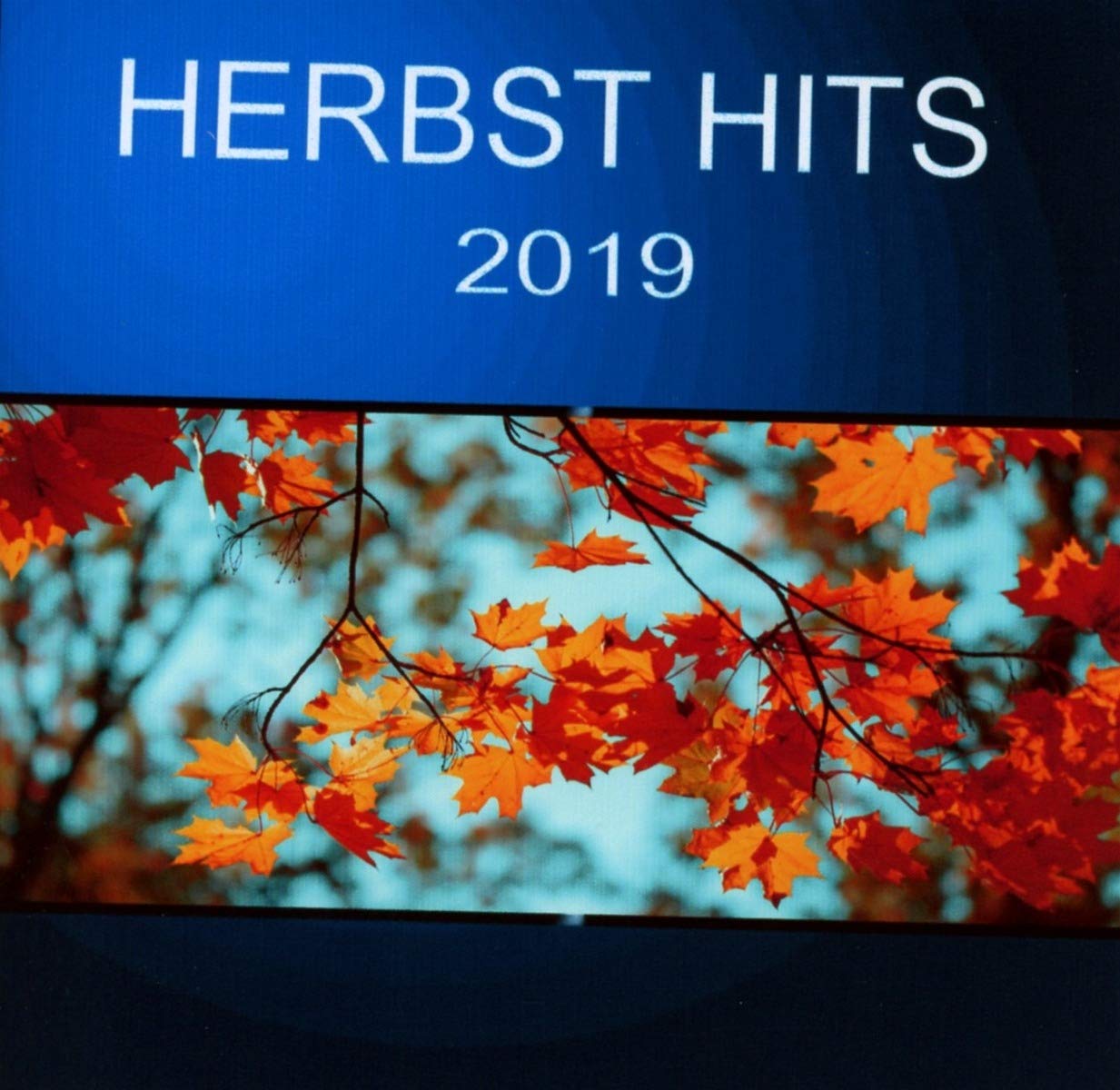 Herbst Hits 2019 CDs & Vinyl