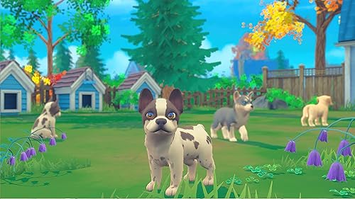 Vista 6 de My Universe Pets Edition Nintendo Switch