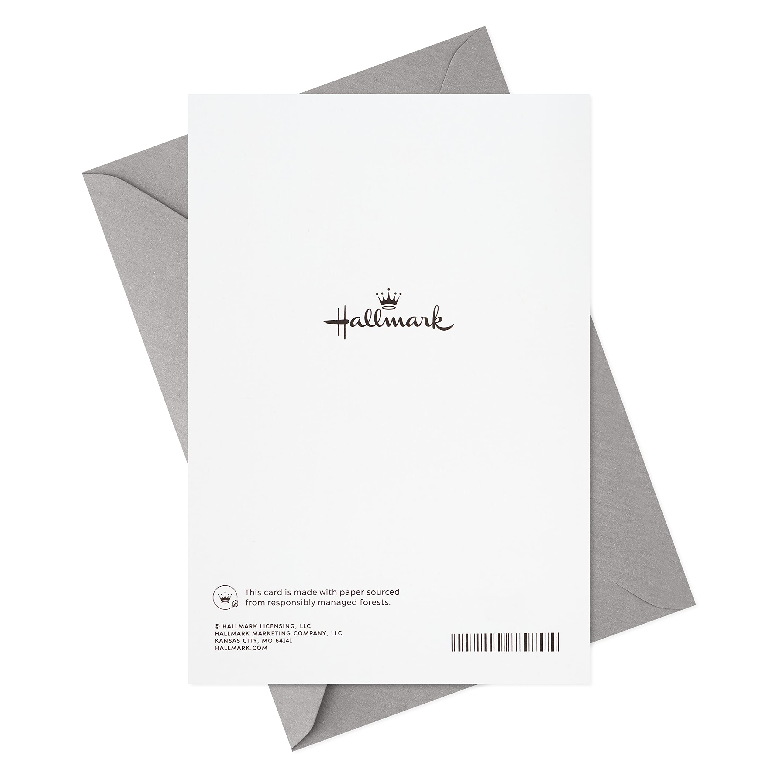 Hallmark Abschlusskarten-Set 10 Stück Mit Umschlägen - 'Time To Remember' Design Für Graduierung
