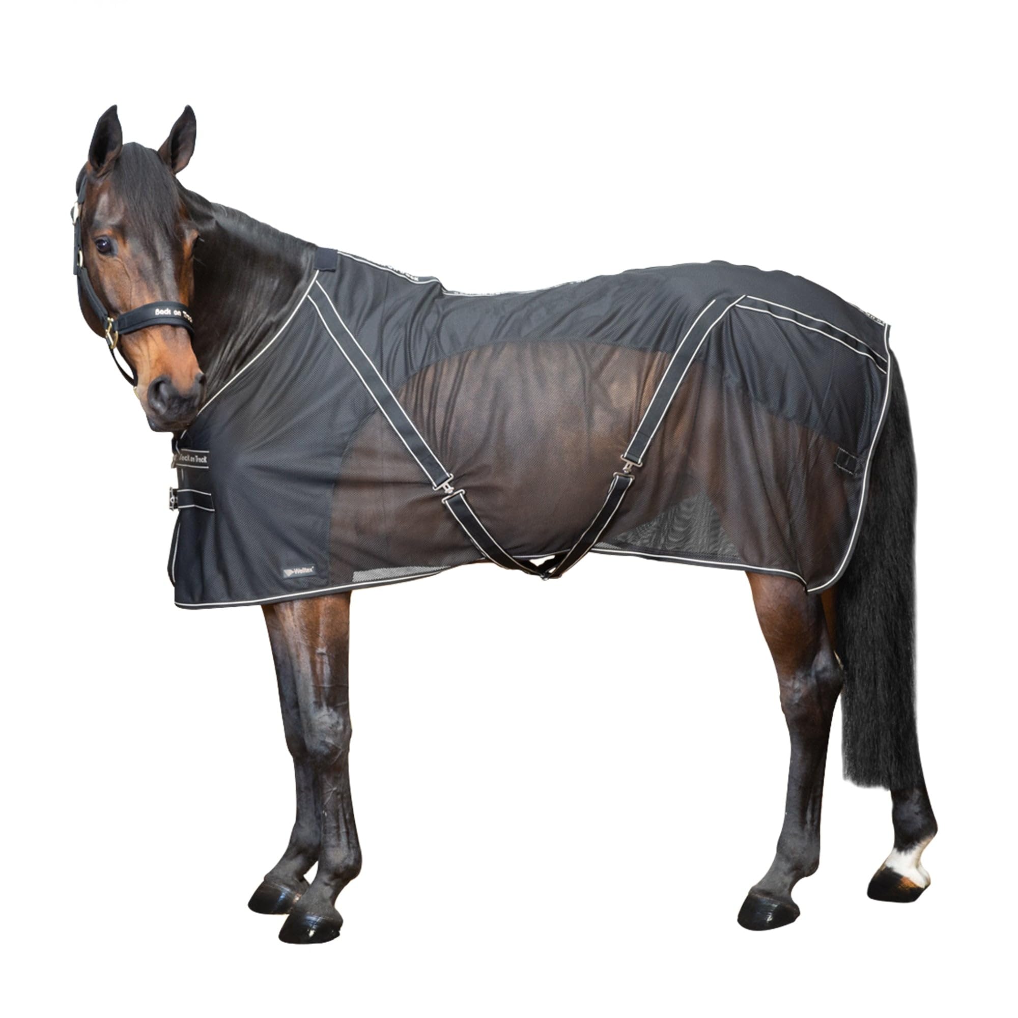 Back on Track Welltex® Cooler Decke Sienna (135 cm) | Leichte Pferdedecke, Welltex®-Gewebe