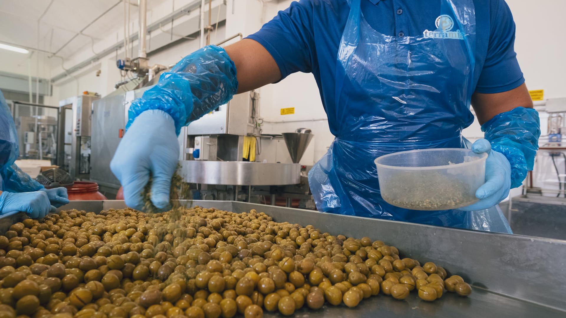 Terramia Olive Verdi Condite Siciliane Varietà "Giarraffa" – Prodotto Artigianale da Azienda Premiata Ercole Olivario e Monna Oliva, Formato Scorta 2kg (4 Buste x 500g)