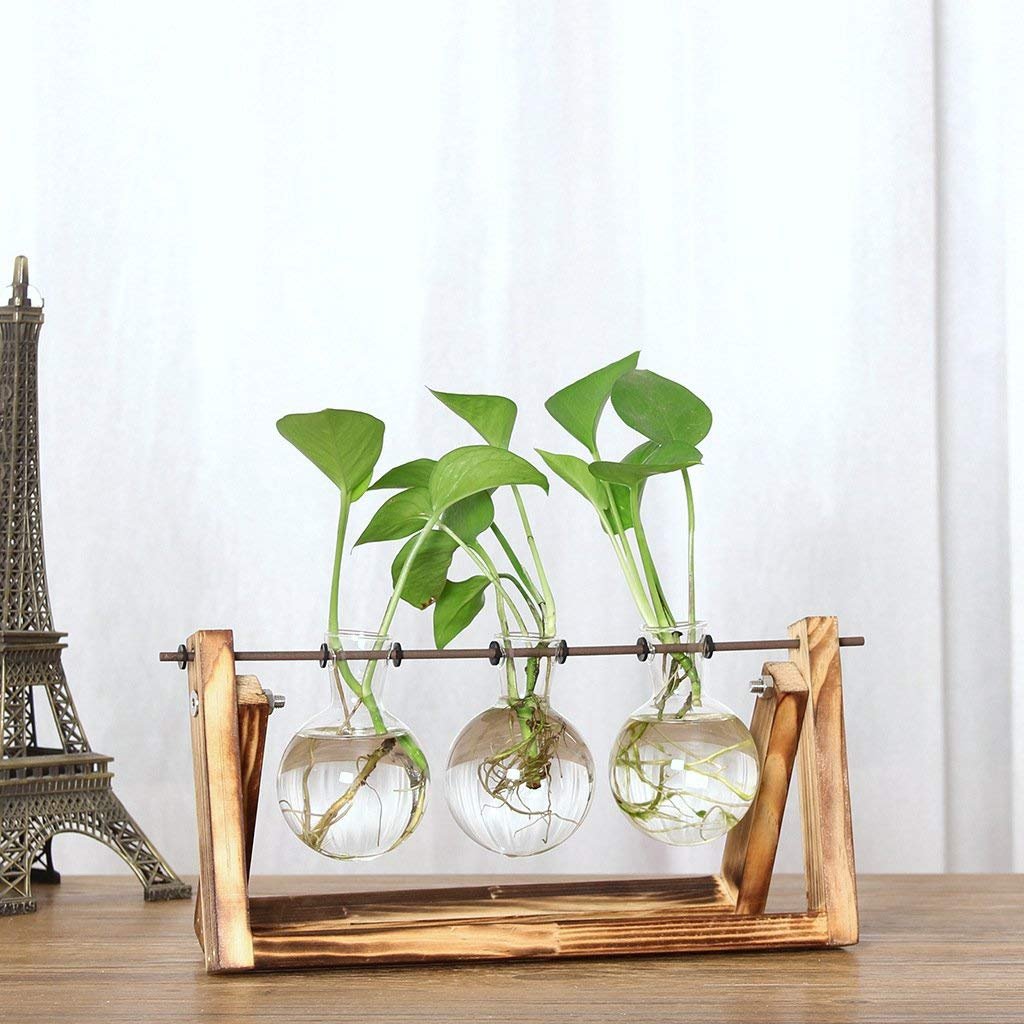 Vaso A Bulbo Di Vetro Con Appendino In Ferro – Sospeso Da Parete, Flower Holder