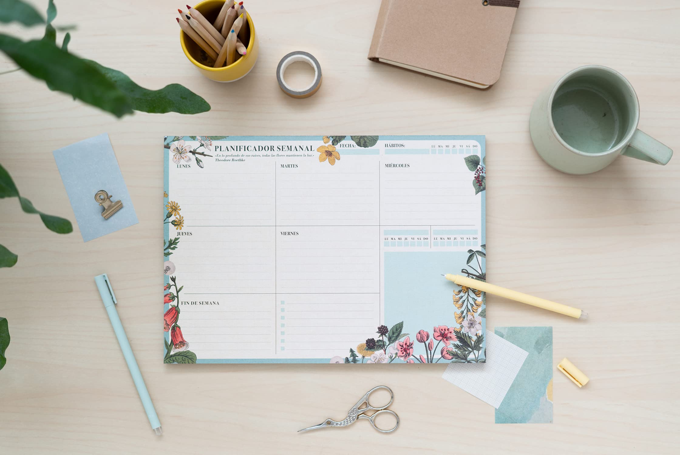 Grupo Erik Weekly Planner A4 In Spanish - Botanical Cacti | Daily Planner Family, Desk Calendar, 54 Tear Off Pages Notepad | Cute Stationery Gifts